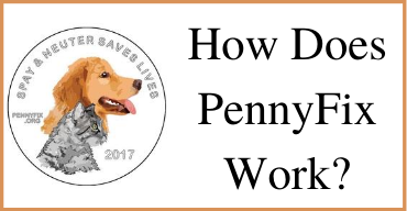 How does PennyFix work?